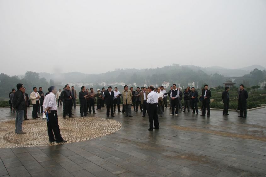 副总经理苏晓明向与会代表介绍良种茶园建设情况