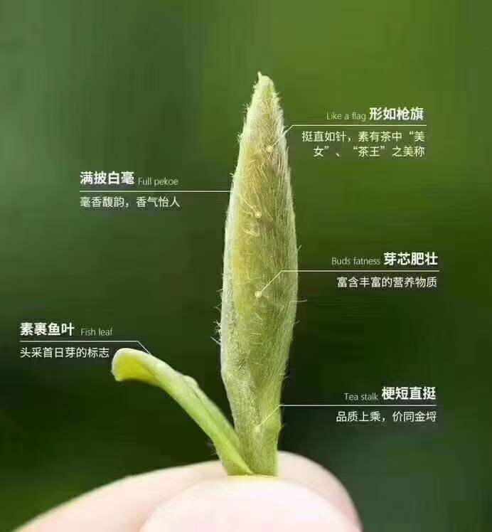 ͼƬ