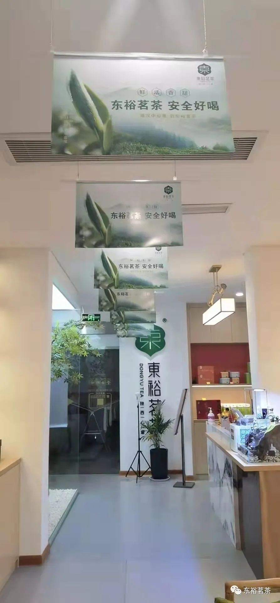 ͼƬ