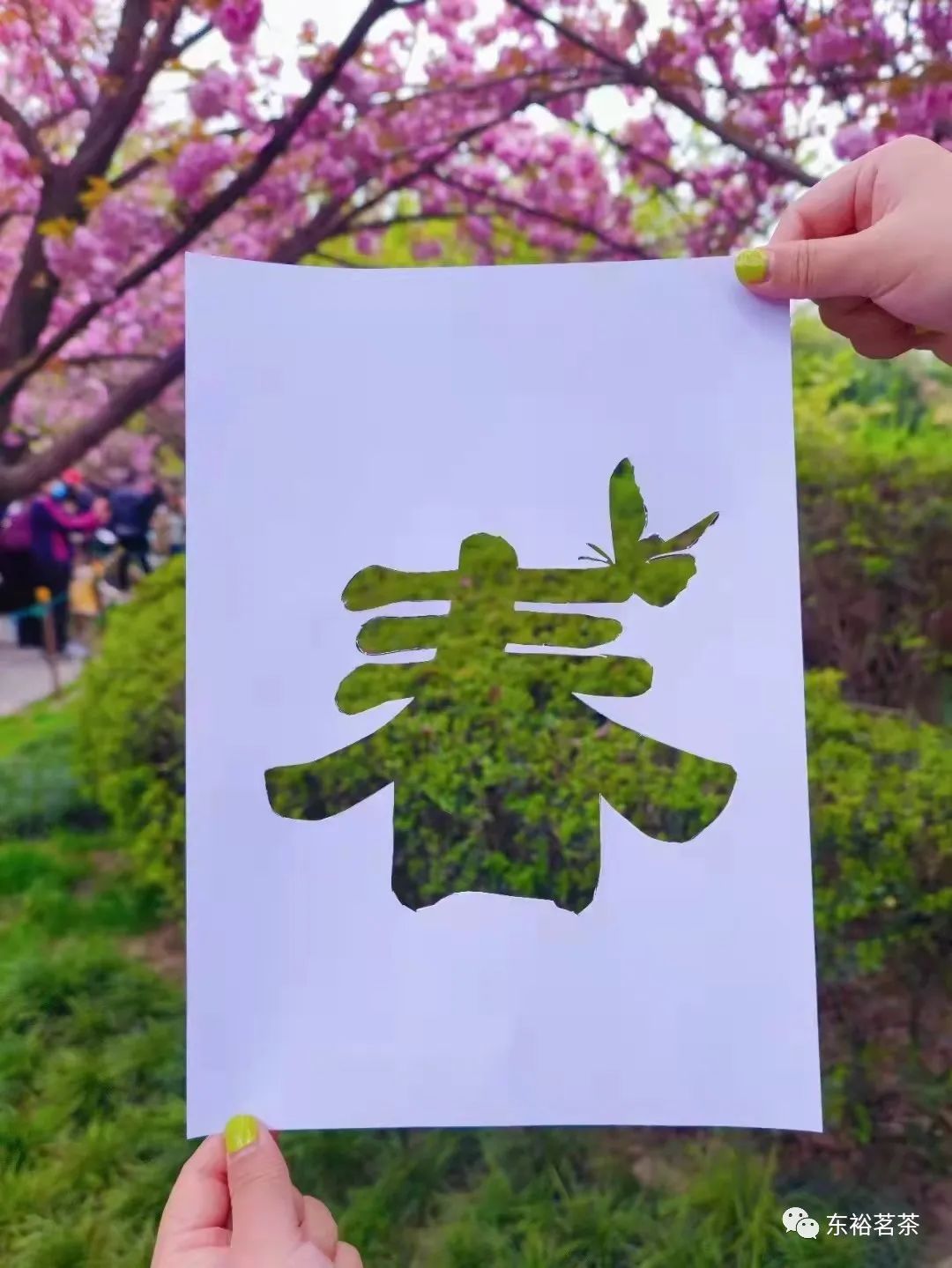 ͼƬ